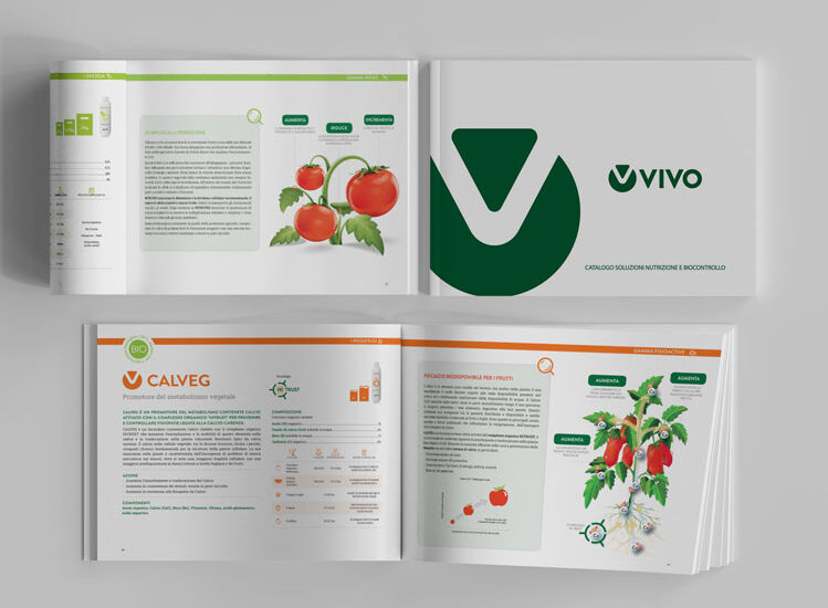 RaggioVerde pubblica il nuovo catalogo prodotti della linea VIVO