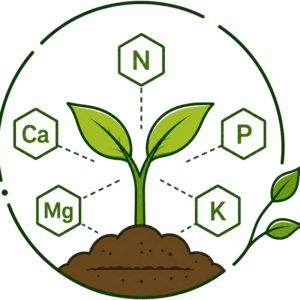 Biostimolanti