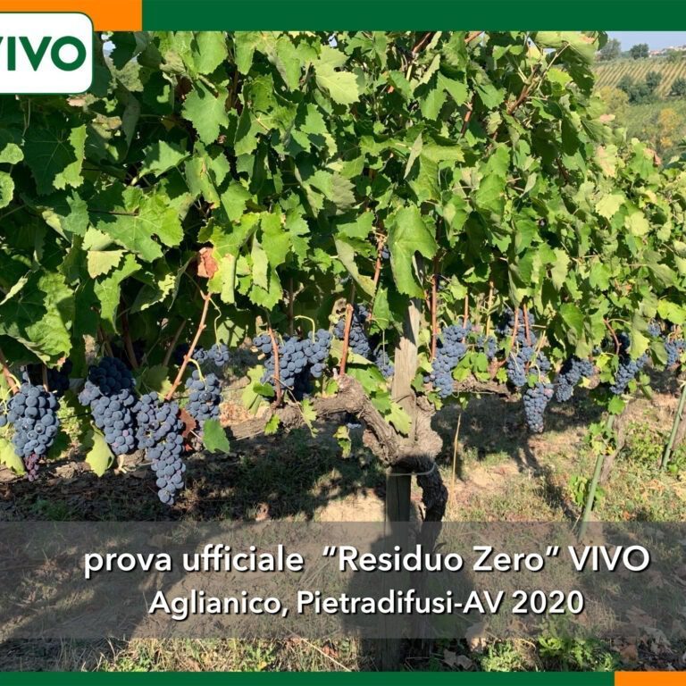 ELICIN-CU-SILACID-prova-ufficiale-1024x768